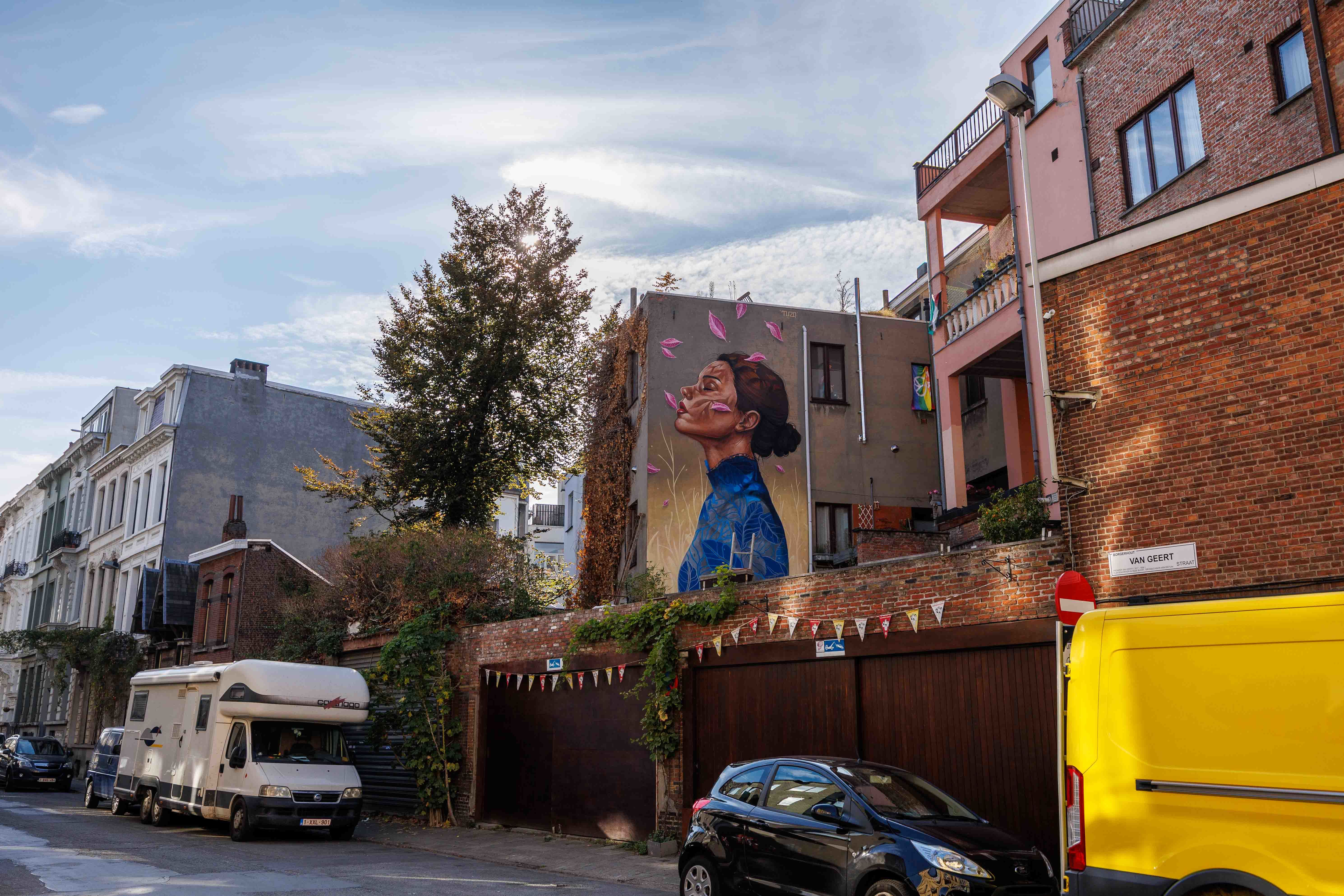 Tuzq - Van Geertstraat (Dodoenstraat 24)
